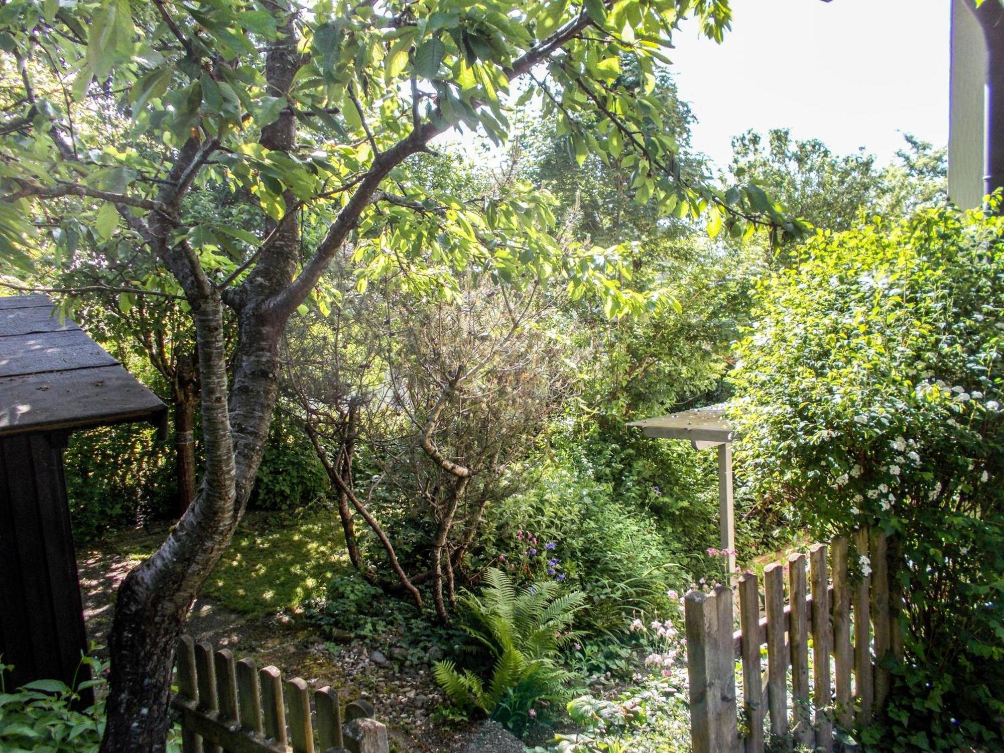 Im Herzen Der Natur Herdwangen-Schönach Εξωτερικό φωτογραφία